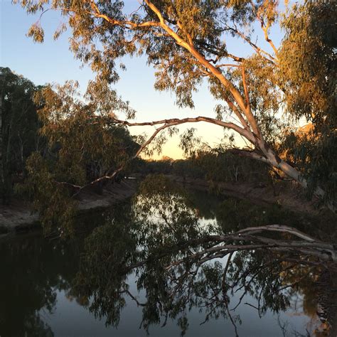 Darling River Bourke Nsw Tranquility Australia History Gibb River