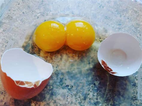 Twin Yolks In A Shell The Ultimate Guide To Double Yolk Eggs