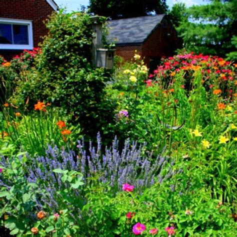 Mixed Perennial Border In June Garden Inspiration Beautiful Gardens