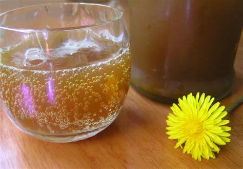 Dandelion Soda Recipe Naturally Fermented With A Ginger Bug Healthy