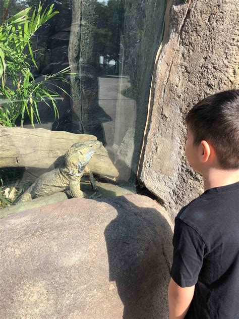 Hawaii Mom Blog Visit Omaha Omahas Henry Doorly Zoo And Aquarium