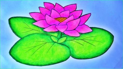Pensil Lukisan Bunga Rafflesia Baru Contoh Sketsa Gambar Bunga Yang
