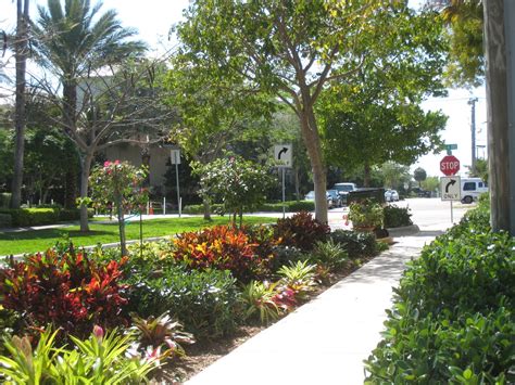Landscape Plants For South Florida Xeriscape Plants Xeriscaping