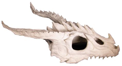 The skull is a bony structure that forms the head in most vertebrates. Large Dragon Skull Reptile Hide - CustomReptileHabitats.com