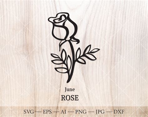 Rose SVG June Birth Flower SVG. Birth month flower outline | Etsy