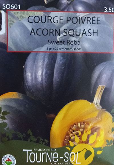Courge Poivrée Sweet Reba Sweet Reba Acorn Squash Online Gardening Products