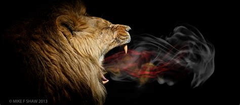Fragrant Prayers Roar Lion Of Judah