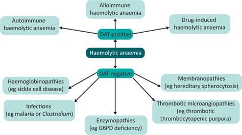 How To Approach Haemolysis Haemolytic Anaemia For The General