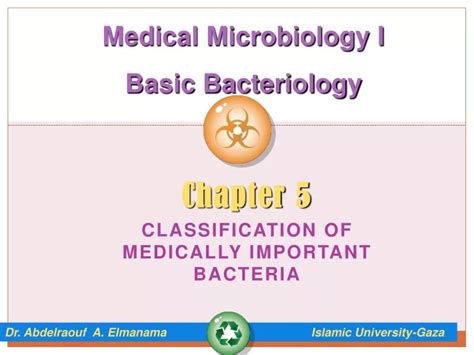 Ppt Chapter 5 Classification Of Medically Important Bacteria