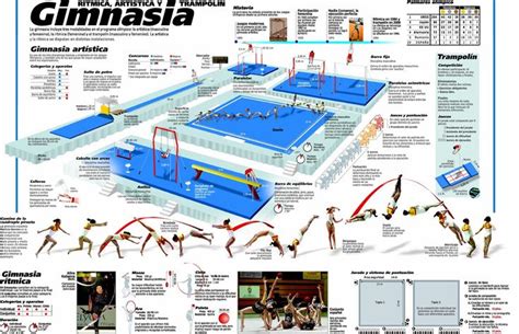 La Gimnasia Infografia Gymnastics Sports Places To Visit