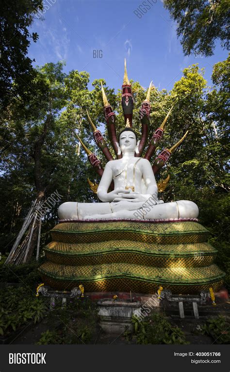 Buddha Statue Naga Image And Photo Free Trial Bigstock