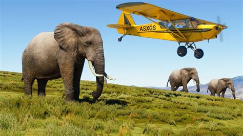 I Found All The Animals In Microsoft Flight Simulator 2020 And It Was