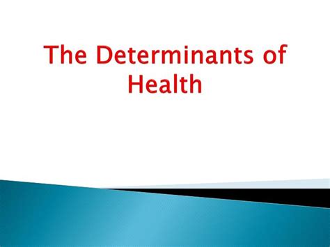 Ppt The Determinants Of Health Powerpoint Presentation Free Download