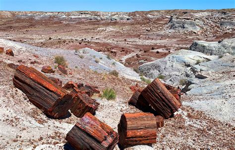 Travel Back In Time At Petrified Forest National Park Boarding Pass