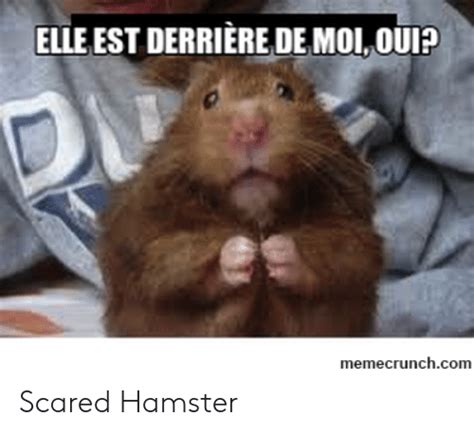Hamster Meme Facetime