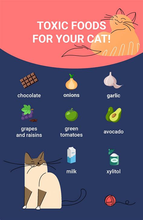 14 Human Foods That Are Safe For Cats To Eat Feline Diet And Health