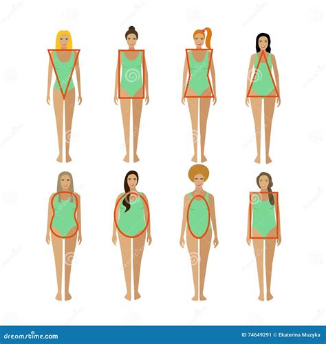 Different Female Body Types Woman Figure Shapes Stock Vector