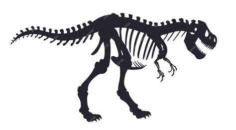 Premium Vector Dinosaur Fossil Bones Jurassic Trex Dino Skeleton