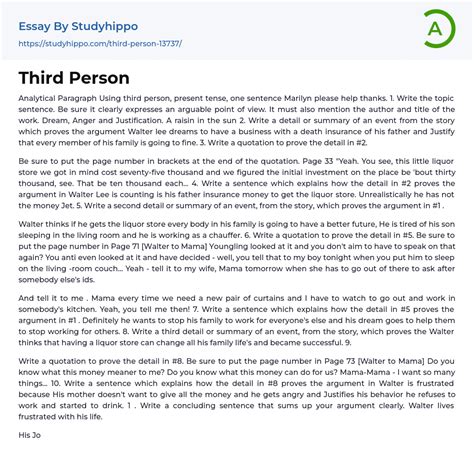 Third Person Essay Example