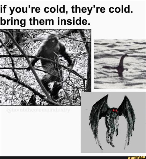 If You Re Cold They Re Cold Bring Them Inside Ifunny