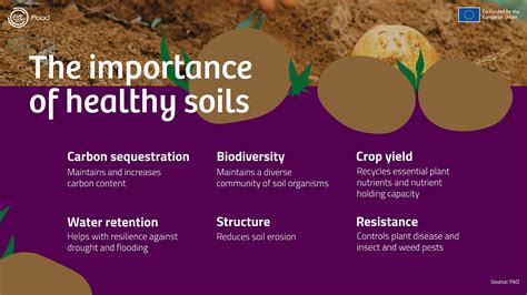 Why Is Soil Health Important For Food Production Eit Food