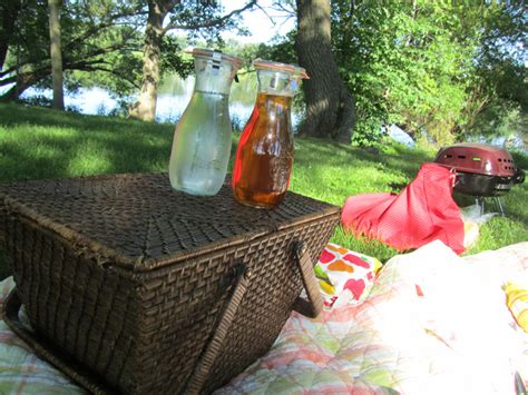 My Wife Is Perfect Picnic By The Lake