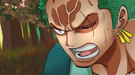 Roronoa Zoro Wallpaper 1920x1080 - 1920x1080 - Download HD Wallpaper