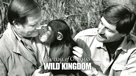 Mutual Of Omahas Wild Kingdom A Classic Show About Wildlife And