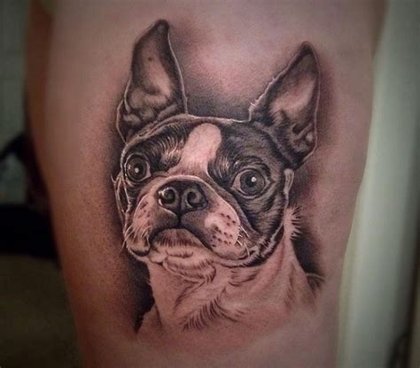 Email your photo to share@ibostonterrier.com! The 10 Coolest Boston Terrier Tattoo Designs In The World
