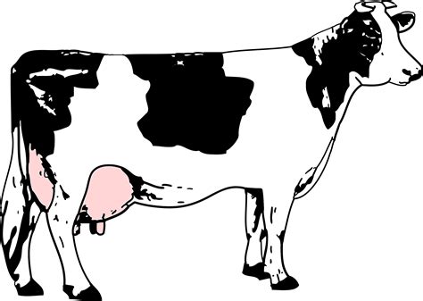 Cow Clipart Black And White Holstein Pictures On Cliparts Pub 2020 🔝
