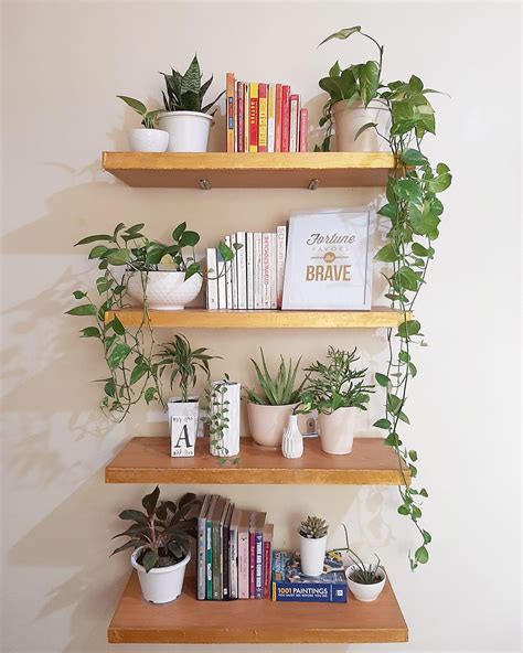 Plant Book Shelf Finally Done Rhouseplants