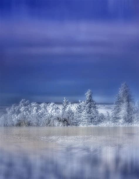 cold winter day photograph by ellen heaverlo fine art america
