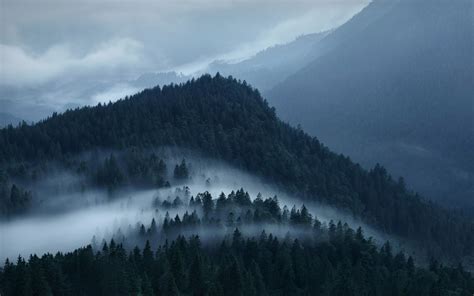 Nature Landscape Mountain Forest Mist Clouds Alps Wallpaper