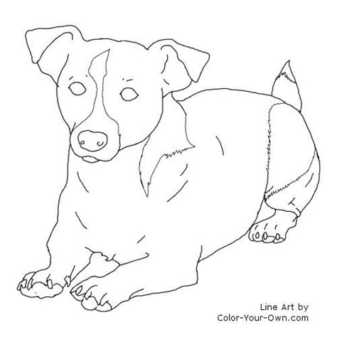 Jack Russel Terrier Dog Laying Down Coloring Page Dog Coloring Page