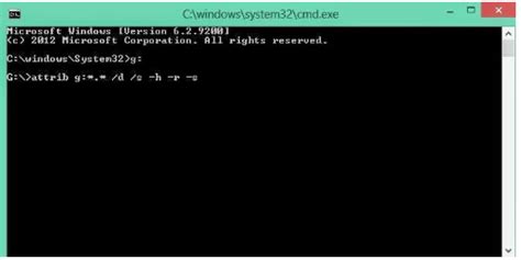 How To Remove Virus Using Cmd From Any Drive In Windows 88110