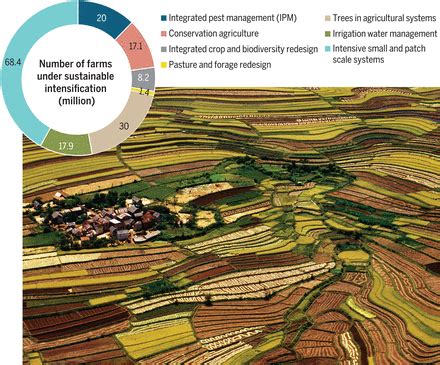 Ipm in the agricultural sector reduces the amount of pesticides used on food crops. Intensification for redesigned and sustainable ...