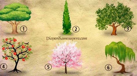 Tes Kepribadian Pohon Mana Yang Paling Ingin Anda Tanam Di Kebun