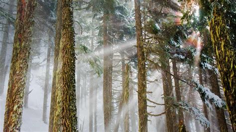 Mount Baker Snoqualmie National Forest Washington Peapix