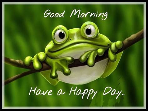 Good Morning And Have A Happy Day Frog Pictures Funny Frogs Frog