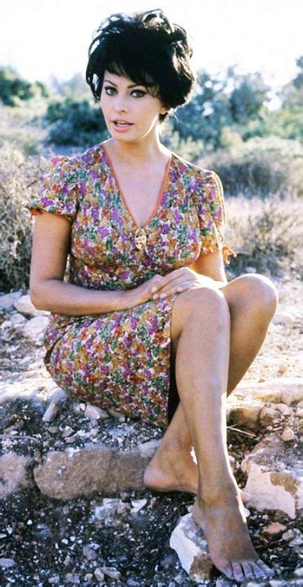 Sophia Loren In 2019 Sophia Loren Sophia Loren Images