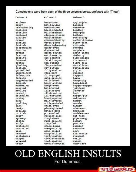 Pin By Lauren Bailey On Just For Laughs English Insults Words Insulting