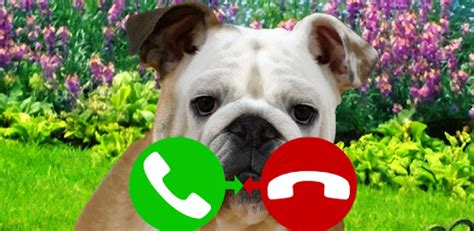 They state the somehow make their computer perform better part of the. fake call dog game for PC : Run fake call dog game on ...