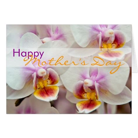 Orchid • Happy Mothers Day Card Zazzle