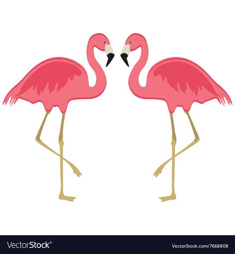 Two Pink Flamingo Royalty Free Vector Image Vectorstock