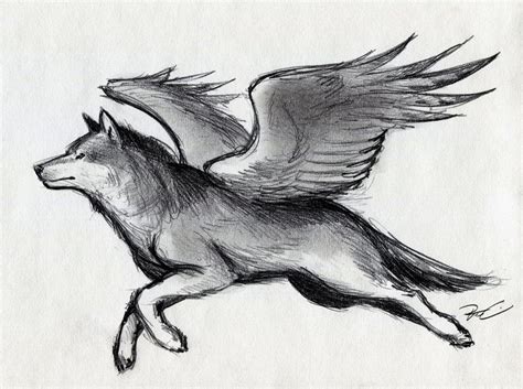 Winged Wolf Love Drawings Kawaii Drawings Animal Drawings Art