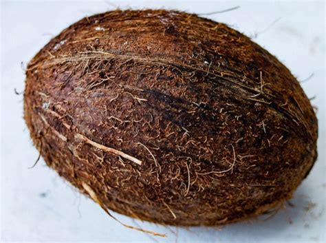 Cara Membuat Kerajinan dari Batok Kelapa: Lampu Cantik Warna-warni
