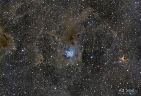 Ngc 7023 Iris Nebula Sky And Telescope Sky And Telescope
