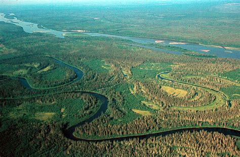 Boreal Forest Along The Athabasca River Photo David Dodg Flickr