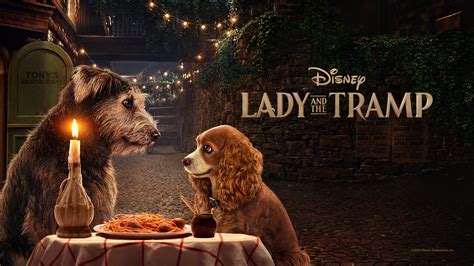 Lady And The Tramp 2019 Az Movies
