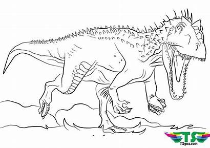 Coloring Rex Dinosaur Tyrannosaurus Pages Tsgos